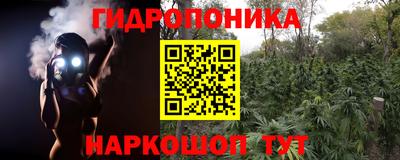спиды Будённовск