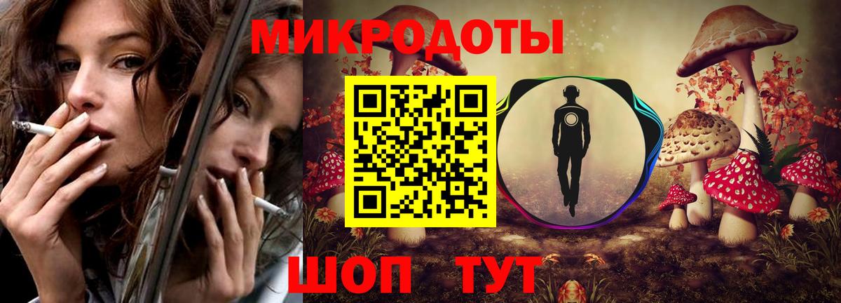 Галлюциногенные грибы Psilocybe Моздок