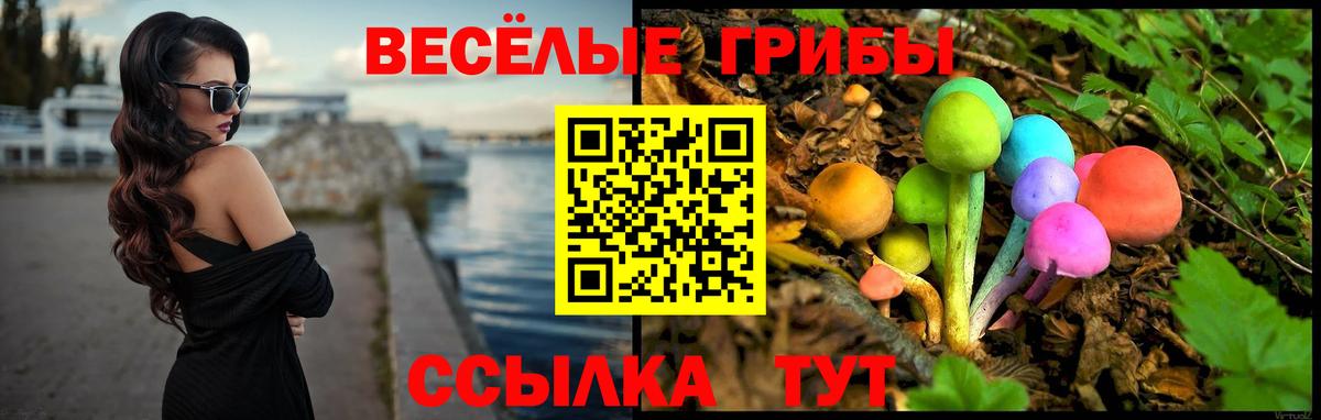 Псилоцибиновые грибы GOLDEN TEACHER  Вход с VPN  Моздок 